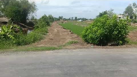 🔴( đã bán)Bán 3200m2 đất lúa ấp 1 xã Phước tuy cần đước long an.