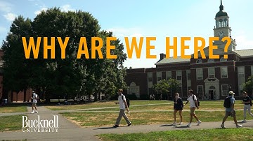 Why Are We Here?