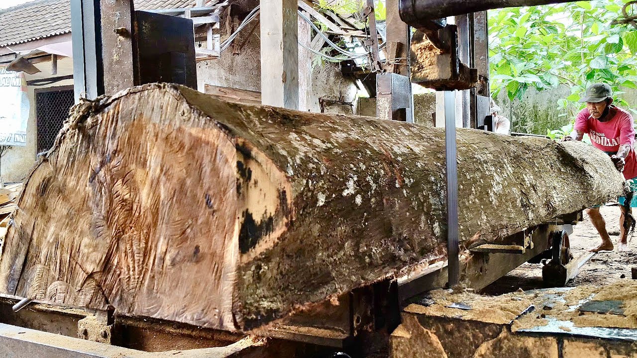 БЕЗУМНО! Самый тяжелый и длинный бревно-монстр на Земле, оператор чуть не сдался.