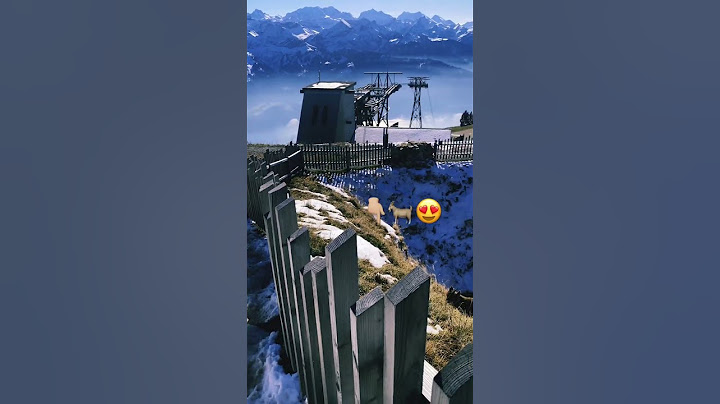 📍Schweiz🇨🇭🐐😍#schweiz #سويسرا #switzerland #follow #تصويري #amazing #like #bergen #اكسبلور 🥰