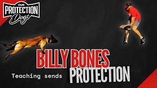 Belgian Malinois Training, Billy Bones- How to teach sends to bite in protection training