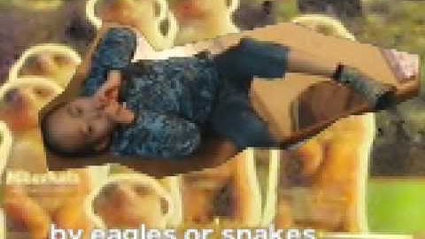 映画「ミーアキャット」のことabout the Movie