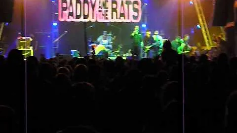 14 Paddy And The Rats - Immigrant's Sons