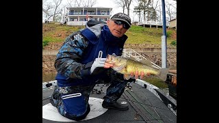 Lake Ozark 15 April - Jig Bite