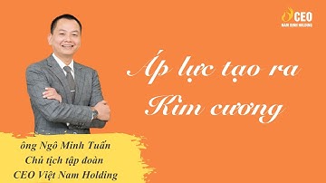 Muốn Thành Công Phải Chịu Được Áp Lực, Có Áp Lực Mới Có Kim Cương? - CEO NAM ĐỊNH HOLDING