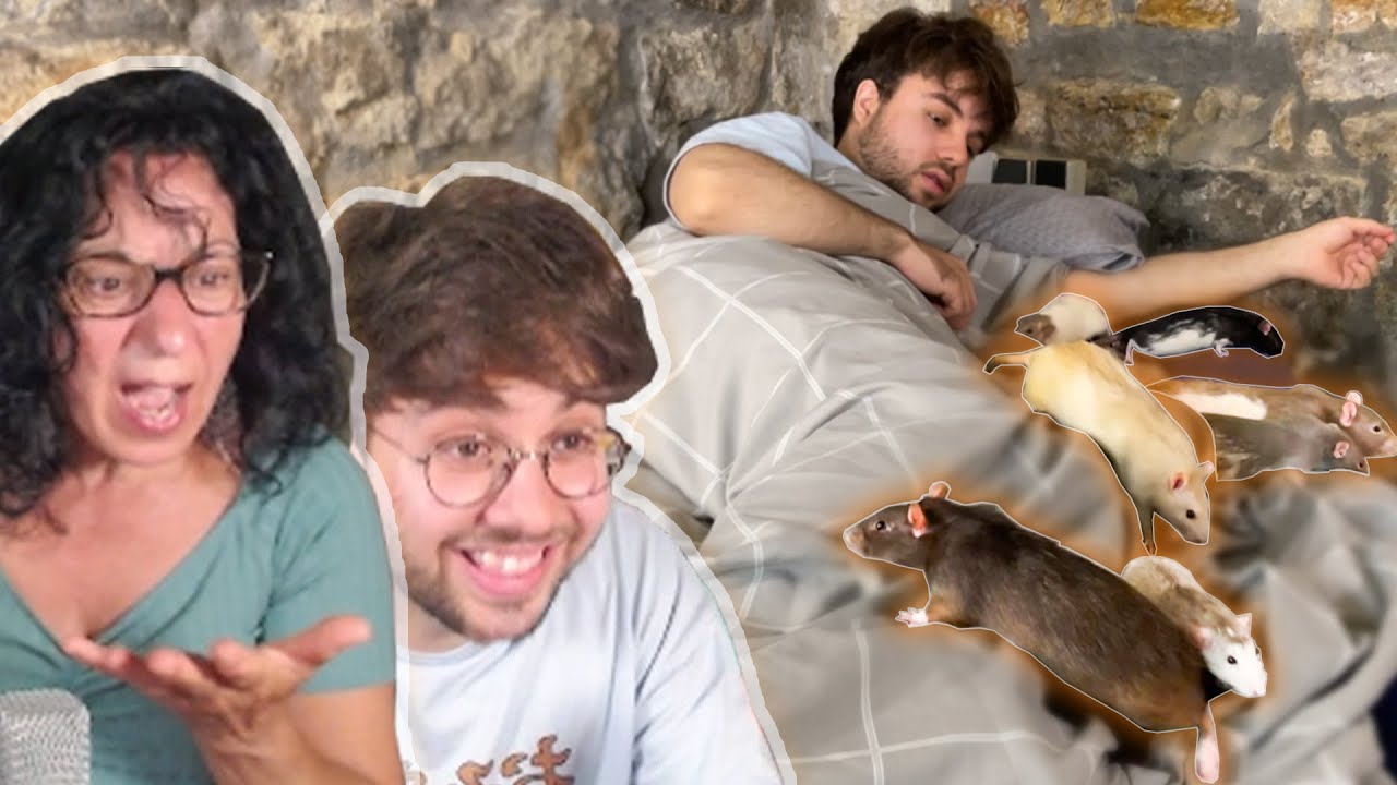 Es werden immer mehr Ratten und meine Mutter dreht durch…