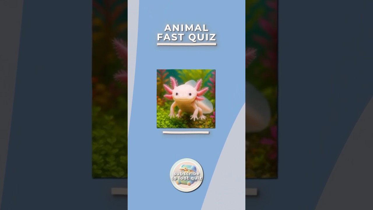 FAST ANIMAL QUIZ! ⚡️ 