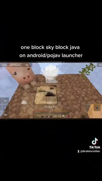 one block sky block java on android pojav launcher - YouTube