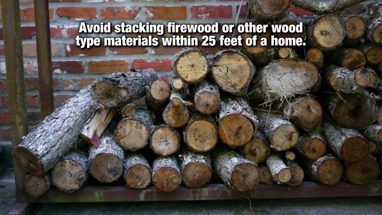 Termite Tips Arrow Pest Control YouTube