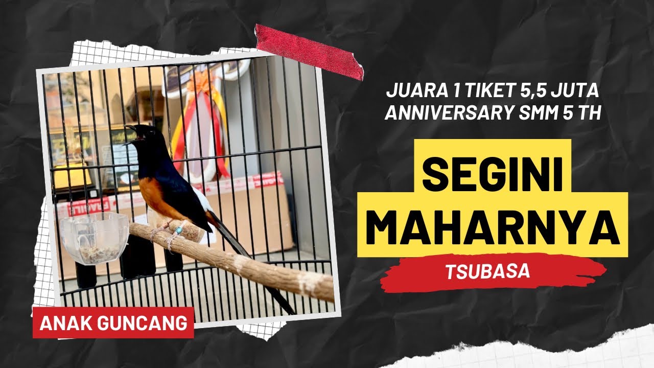Ingin Juara 1 di SMM? Begini Tips dari Ko Triyanto ‼️ Tsubasa Sang Juara Anniversary SMM ke 5