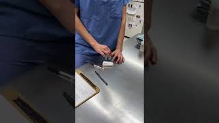 Running a heartworm  test