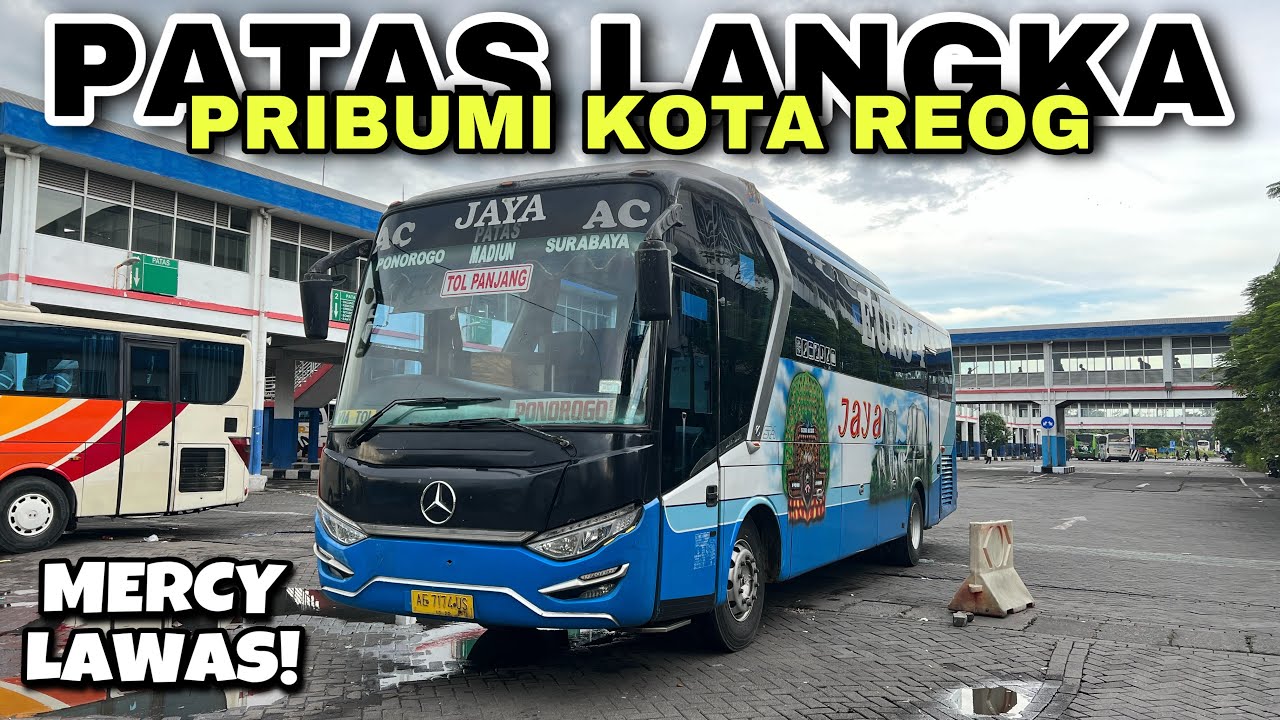 Lihat Bus Langka Ini Jalan , Auto Nungguin ❗️ Patas Pribumi Kota Reog ❗️| trip Jaya Putih AE 7174 US