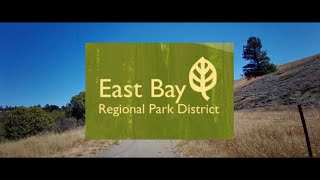 🇺🇸   Oakland, CA - Redwood Regional Park - ASMR Walking Tour