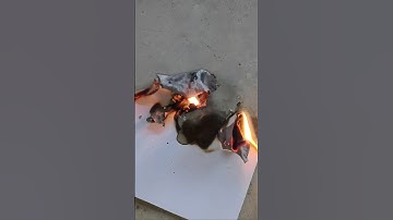 Experiment Video • Science Experiment at Home|| 🤯😈💥🤯 || #shorts #experiment #science