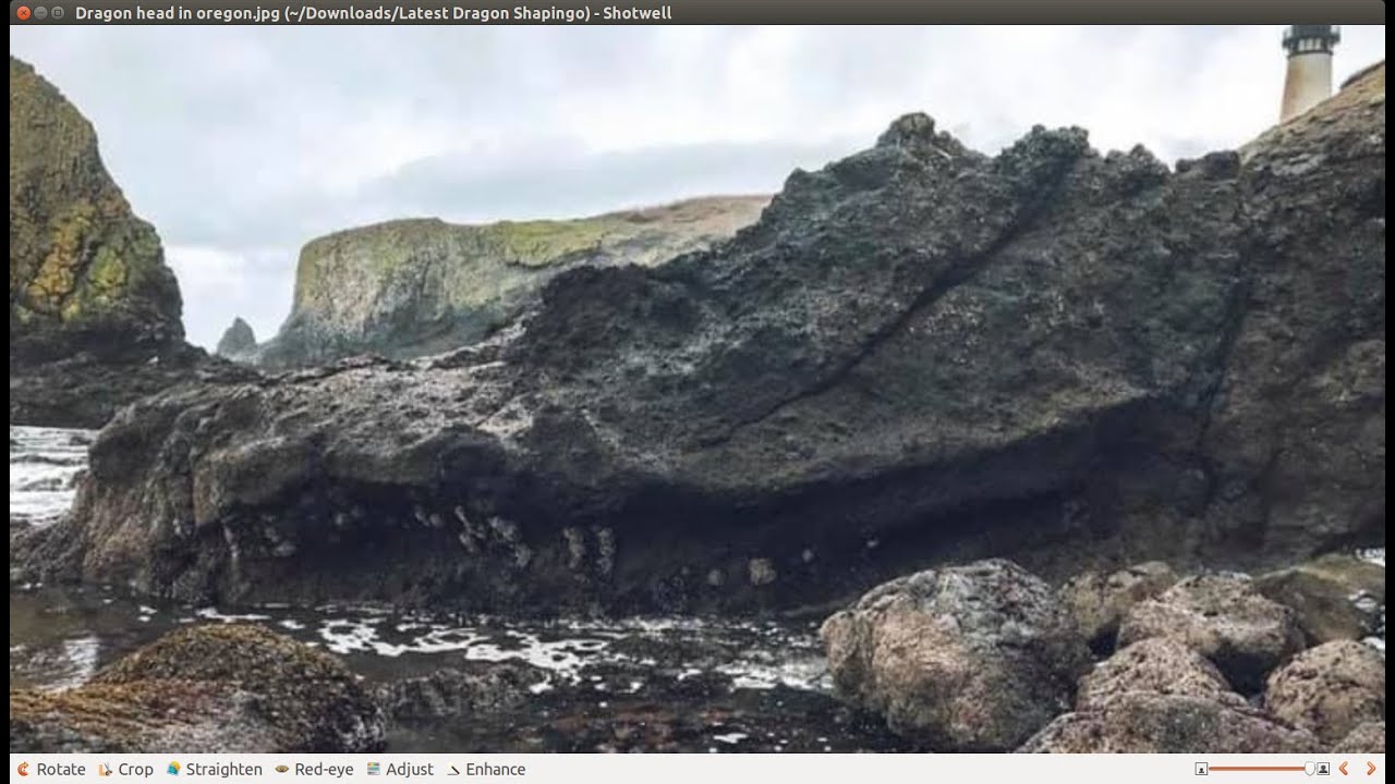 Похоже на дракона.