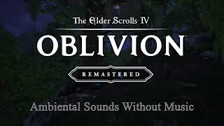 Cyrodiil Forest Sounds at Night 🌲 Peaceful Nature Ambience (No Music) | Oblivion Remastered