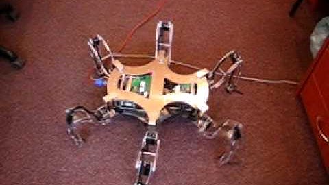 hexapod robot messor - tripod gait