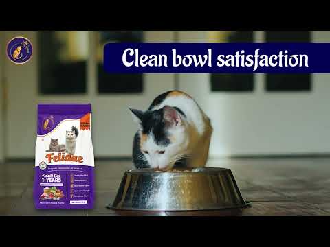 Felidae Adult Dry Cat Food | Real Tuna, Chicken, Ocean Fish x Seafood |