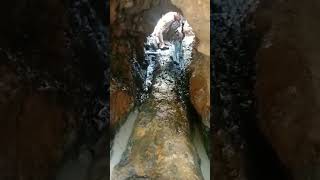 Download Lagu fosil kayu garut panjang 10 meter.#shorts MP3