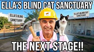ELLA'S BLIND CAT SANCTUARY - THE NEXT STAGE!!
