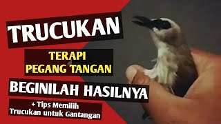 Terapi Pegang Tangan & Tips Memilih Trucukan untuk Gantangan