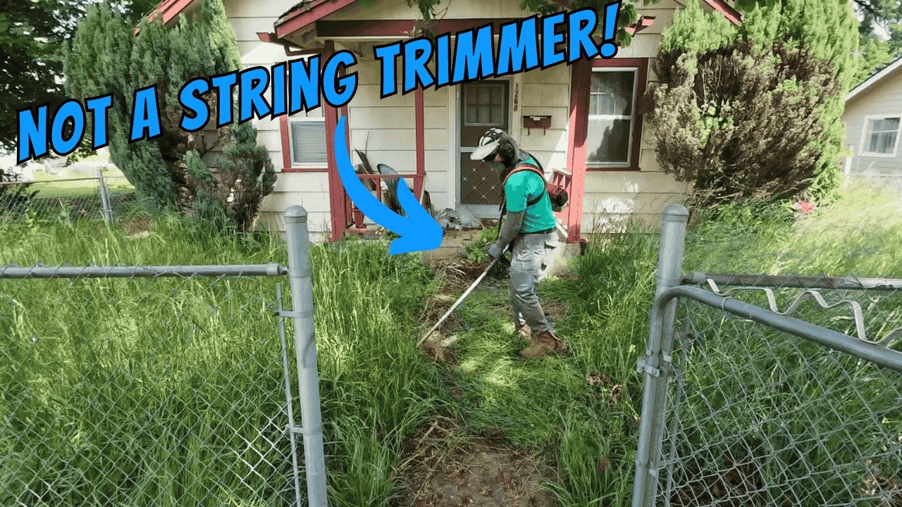 Что произойдет, если не стричь траву месяцами или годом?