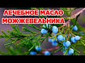 ЛЕЧЕБНОЕ МАСЛО ДЛЯ СУСТАВОВ МОЖЖЕВЕЛЬНИК ОБЫКНОВЕННЫЙ