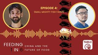 Download Lagu Feeding 1 in 6: Small mighty fish farms (Episode 4) Download Lagu Feeding 1 in 6: Small mighty fish farms (Episode 4)