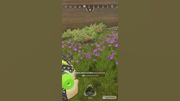 Apex Legends r99 flatline #shorts