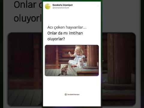 Hayvanlar da imtihan oluyor mu? Çektikleri acıların karşılığı ne olacak? #shorts #short