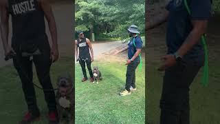 Should you go to the dog park!