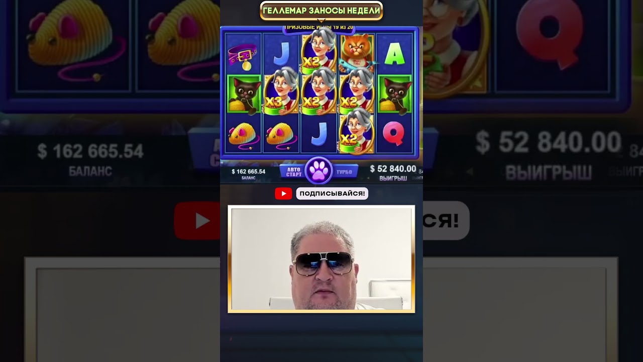 Lucie’s Cats занос Геллемара 