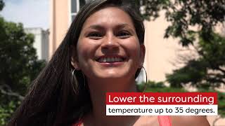 3 Reasons To Install A Misting System | Whitton Plumbing | Plumber In Tucson