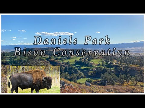 Video: Daniels Park u okrugu Douglas, Colo