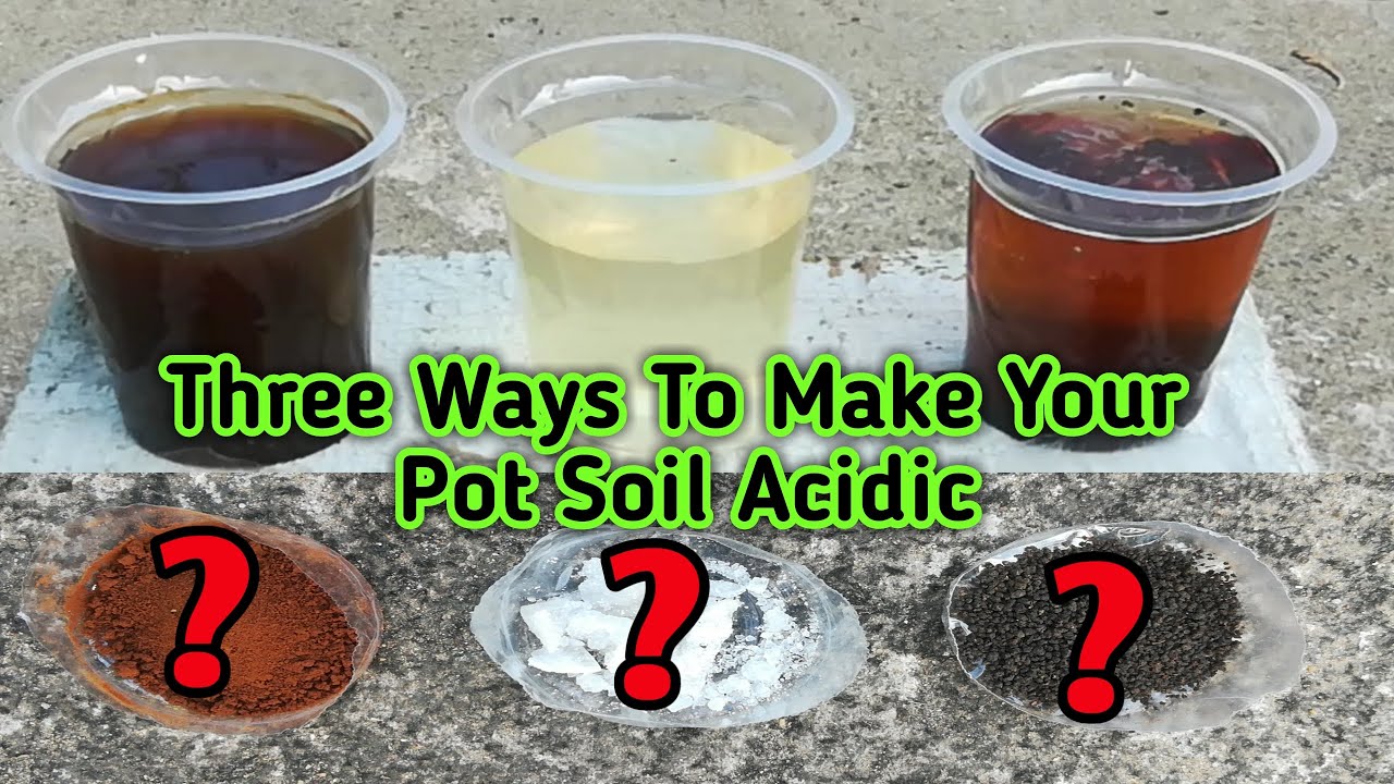 How To Make Your Pot Soil Acidic