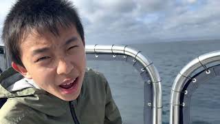 Oceanside Whale Watching With Oceanside Adventures Bonus Footage