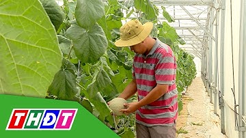 Từ giảng đường đại học về quê làm nông | Tái cơ cấu nông nghiệp - 4/5/2025 | THDT