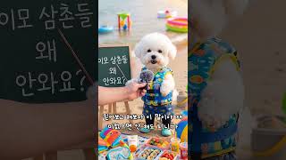 자 집중 서리 키우기 안할꺼야? #댕댕뉴스 #알겠어