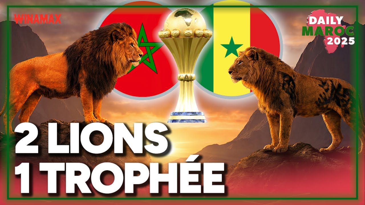 Le Maroc est en finale, duel de LIONS pour le trophée ! (Daily Maroc (16/01)