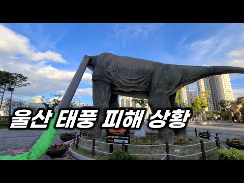 울산 태풍 피해 상황 목뿌러짐