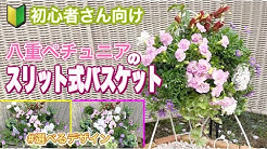 寄せ植えチャンネル Youtube