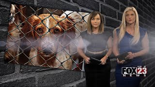 Video: Former employees claim Coffeyville animal shelter unnecessarily euthanized animals,