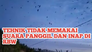 TEHNIK MEMATIKAN SUARA INAP DAN PANGIL DI RBW#rbw#pjw#suarawaletpanggil#suara