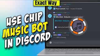 Chip Music Bot 2026 User Guide - How to Invite, Search, Play Music on Your Discord