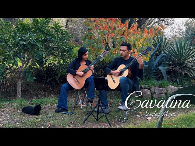 Cavatina - Stanley Myers