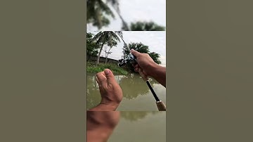 Nói một câu thể hiện đẳng cấp dân câu #lkhoa #fishing #shorts #amthuc