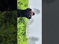 Valparai Diaries ❤️🤟🏻 #rtr #rtrvlogs