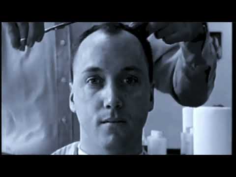 Love Tractor - Venice music video