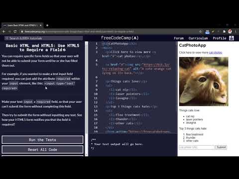 Basic HTML and HTML5 Use HTML5 to Require a Field