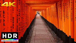 【4K HDR】Rainy Walk in Kyoto Fushimi Inari Shrine (京都散歩) - Summer 2020